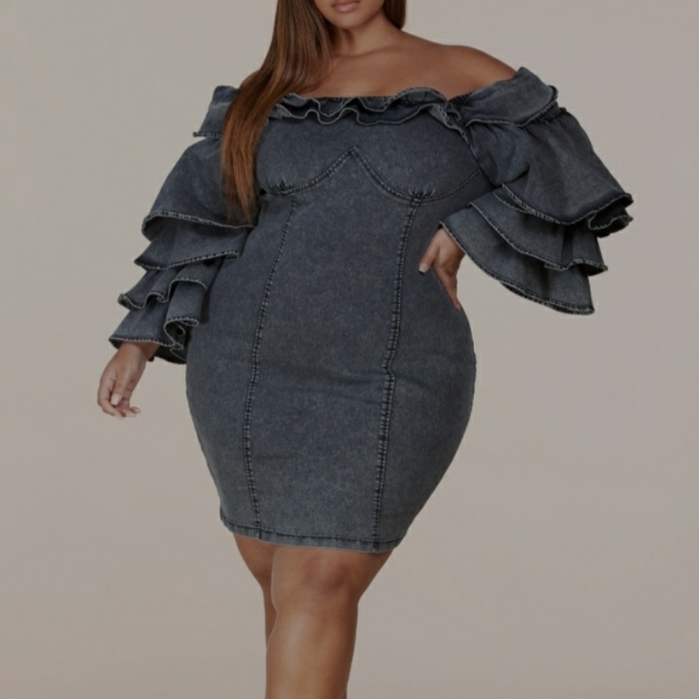Denim dress with detailed ruffle sleeve